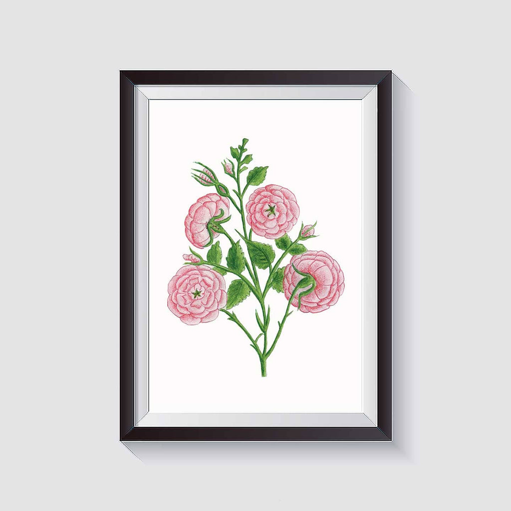 Kannika Art Roses | Art Print